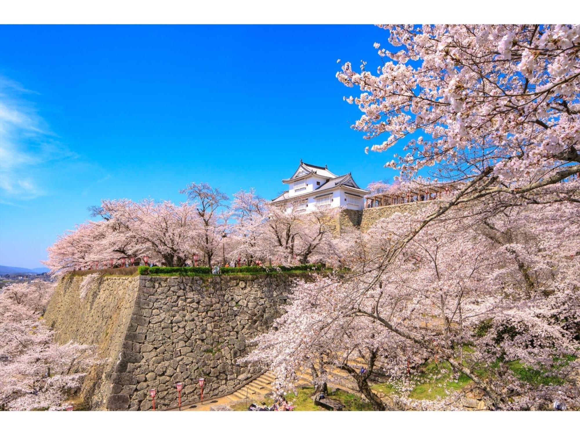 Tsuyama Kakuzan Hotel - Vacation Stay 75701V Екстериор снимка